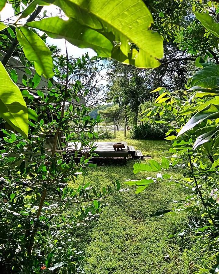 The Maun Studios Exteriör bild
